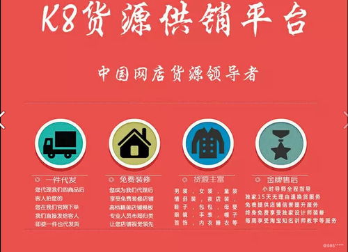 看准网上海网站推广策略解析 精准触达，高效转化