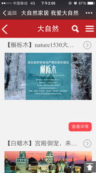 大自然家居建材行业精品网站建设 上海万户