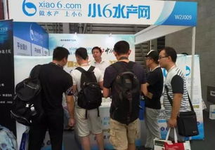 福中小6水产网亮相上海渔博会，互联网+水产推动渔业高质量发展